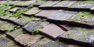 Shirehampton roof repair costs